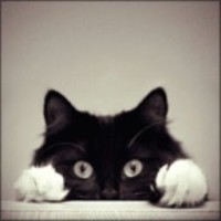 kat-love-kuzj
