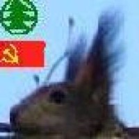 squirrel3500