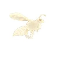 may0nnaise-bee