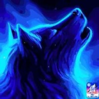 darksonicshadow