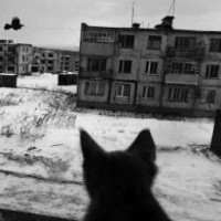 snoopoffc