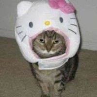 kimikochan3