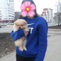 sasha-lil
