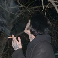 anxiks-wiksis