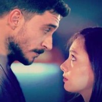elenaart8