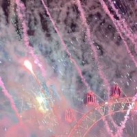 pinklily-075