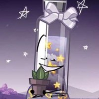 starovoytik