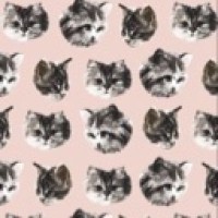 kittuq-lovily
