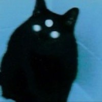 romanticizedcat