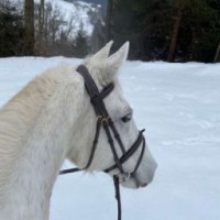 anna-mikhz25