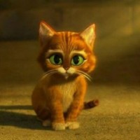 dmitriy44444