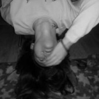 luli-fea