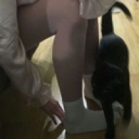 skinkelln