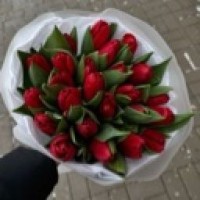user28122086