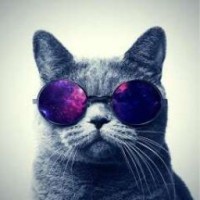 user86148237