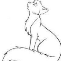 user77475427