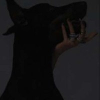 annafloris-09