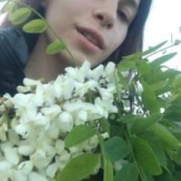 ali-kotik