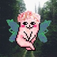 nastha2