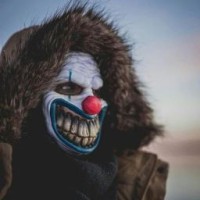 grazytv23