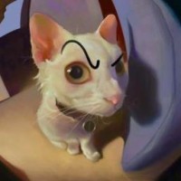 agneaau
