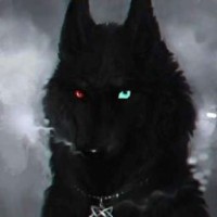 alisafox66612
