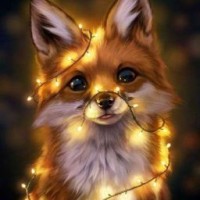 i-fox-5676