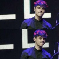 alekseev-love