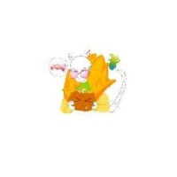 the-nyan