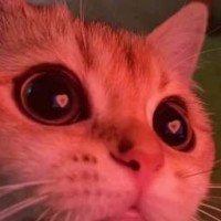 sgjuebk