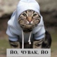 toriton