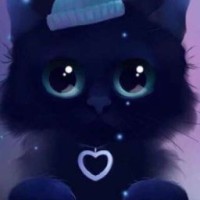 user81932242