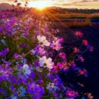 user82009842