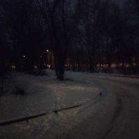 veskiyseler