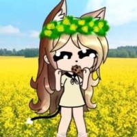 chocolatebear3