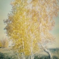 lanapichko99sve000p