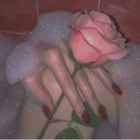 v07877