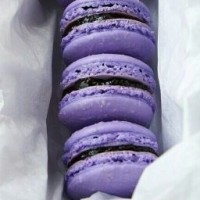 purpledonut