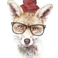 tomas-fox