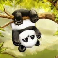 panda-ae666