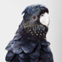 someone7in7the7crowd