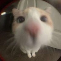 fanfic-alinkisss
