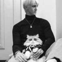 draco-malfoy-wife-19