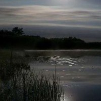 yos-zgf