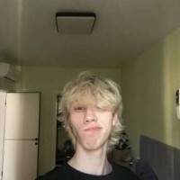 sewtdilp