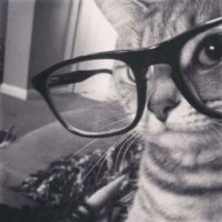 francesssbook