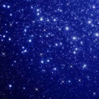 starry-nobody