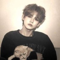 qwmmeow