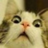 viktoryfox