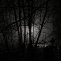 yourgreen-eyedgirl